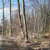03 bei Waldhausen - Schättere-Trasse